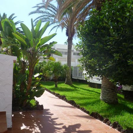 קוסטה דל סילנסיו Elana Apartment With Free Wifi מראה חיצוני תמונה